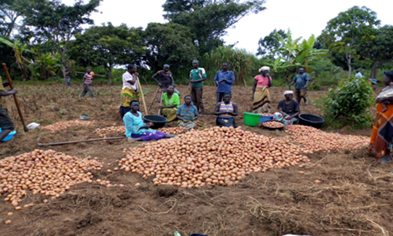 Jangokoro Food Security Project (2017-2019)